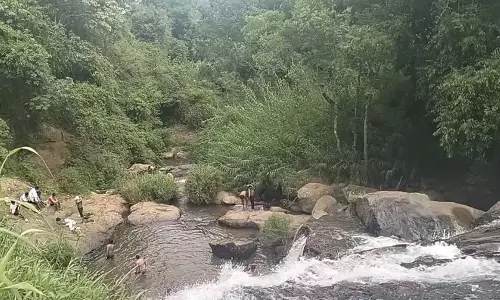 கோத்தகிரி அருகே கேத்தரின் நீர்வீழ்ச்சியில் ஆபத்தை உணராமல் குளிக்கும் சுற்றுலா பயணிகள்