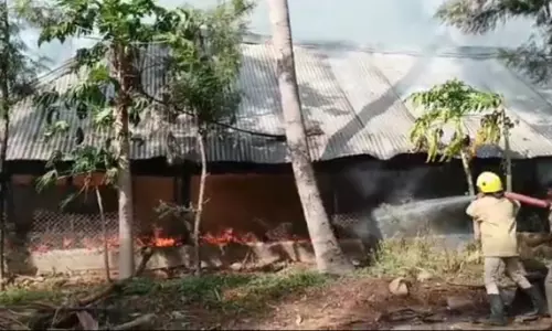 ஊத்தங்கரை அருகே 3 ஆயிரம் கோழிக்குஞ்சுகள் தீயில் கருகின