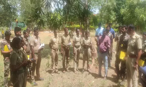 மழைக்கு முந்தைய வனவிலங்குகள் கணக்கெடுப்பு பணி
