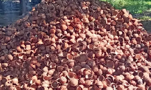 தேங்காய் சிரட்டை விலை வீழ்ச்சி