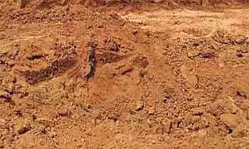 வண்டல் மண் எடுக்க விவசாயிகள் விண்ணப்பிக்கலாம்- கலெக்டர் தகவல்