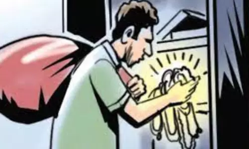 தொடர் திருட்டில் ஈடுபட்டு சிக்கிய வாலிபர்