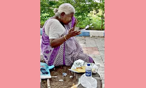 கலெக்டர் அலுவலகத்தில் தஞ்சமடைந்த மூதாட்டி