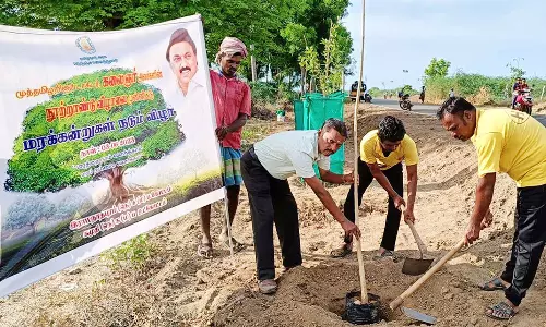 கமுதி நெடுஞ்சாலையில் மரக்கன்று நடும் விழா