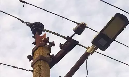 எரியாத மின் விளக்குகளை சரி செய்ய வேண்டும்