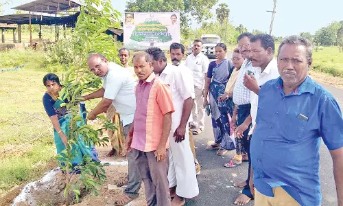 மரக்கன்று நடும் விழா