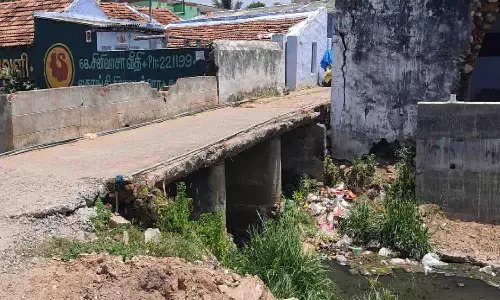 உடுமலை தங்கம்மாள் ஓடையை தூர்வார கோரிக்கை
