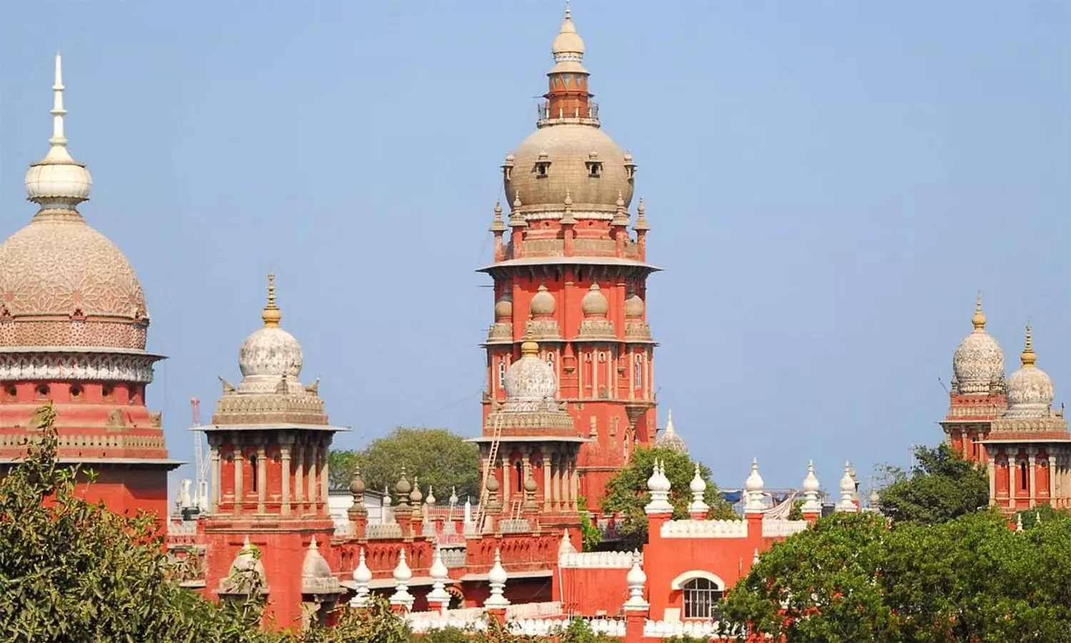 வெளிநாட்டு நாய்களை இறக்குமதி செய்ய தடை இல்லை: ஐகோர்ட்டு உத்தரவு வெளிநாட்டு நாய்களை இறக்குமதி செய்ய தடை இல்லை: ஐகோர்ட்டு உத்தரவு