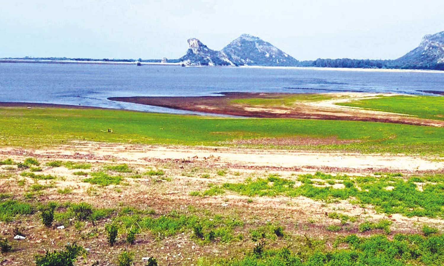 நீர்வரத்து இல்லாமல் வறண்டு வரும் உடுமலை திருமூர்த்தி- அமராவதி அணைகள்