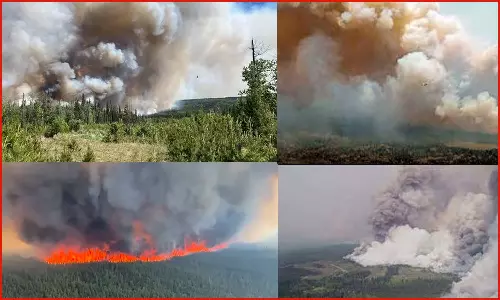 கனடாவில் 45 ஆயிரம் ஏக்கர் காடுகளை சேதமாக்கிய காட்டுத்தீ