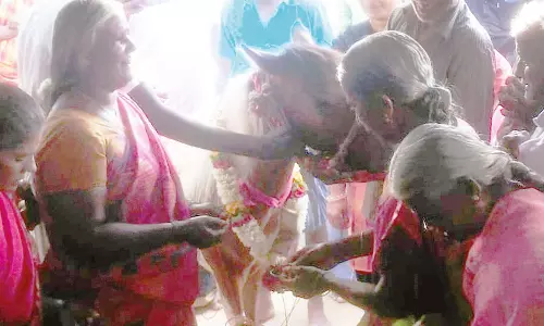 வினோத நிகழ்ச்சி- மழை வேண்டி கோவில் குதிரைக்கு வளைகாப்பு