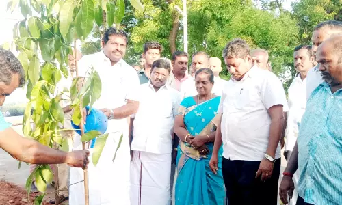 கருணாநிதி நூற்றாண்டை முன்னிட்டு மேலக்குறப்பாளையம் பகுதியில் மரக்கன்று நடும் விழா