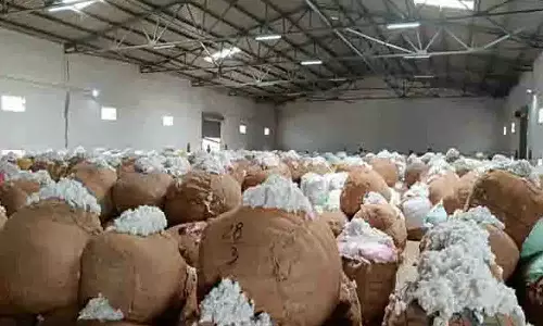 மூலனூா் ஒழுங்குமுறை விற்பனைக் கூடத்தில் ரூ. 1.71 கோடிக்கு பருத்தி விற்பனை