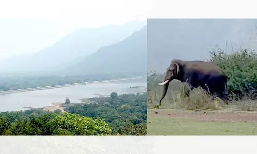 பர்கூர் மலை பாதையில் இருந்து வரட்டுப்பள்ளம் அணையை ரசிக்கும் சுற்றுலா பயணிகள்