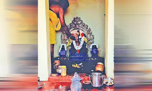 கோவில்பட்டி விநாயகர் கோவிலில்  சங்கடஹர சதுர்த்தி பூஜை