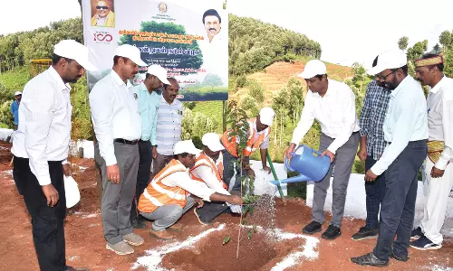 நீலகிரியில் 1000 மரக்கன்றுகள் நடவு