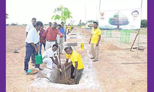 மரக்கன்றுகள் நடும் விழா