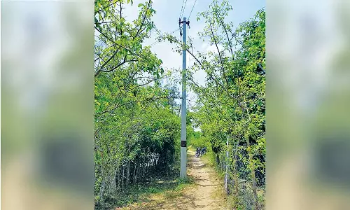 சாலையின் நடுவே உள்ள மின்கம்பம் ஓரத்தில் நடப்படுமா?