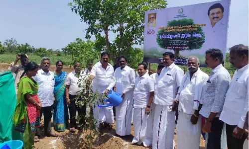 சீர்காழியில், மரக்கன்றுகள் நடும் விழா