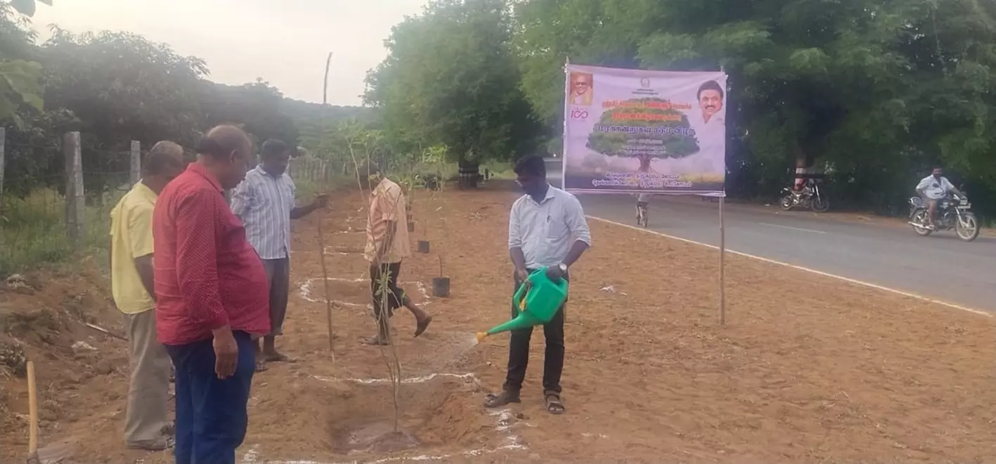 மரக்கன்றுகள் நடும் விழா மரக்கன்றுகள் நடும் விழா