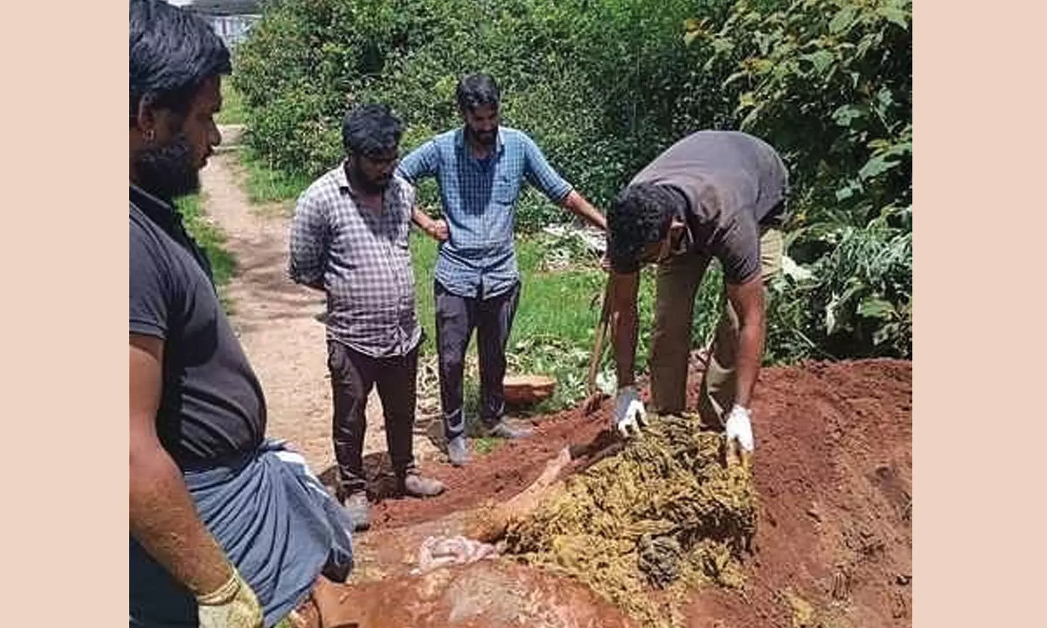 குன்னூர் அருகே இறந்த பசுவின் வயிற்றில் இருந்து 35 கிலோ பிளாஸ்டிக் கழிவு அகற்றம் குன்னூர் அருகே இறந்த பசுவின் வயிற்றில் இருந்து 35 கிலோ பிளாஸ்டிக் கழிவு அகற்றம்