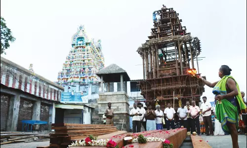 நெல்லையப்பர் கோவில் தேருக்கு தடி தயார் செய்யும் பணி