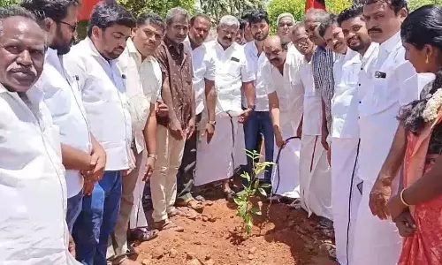 கருணாநிதி பிறந்தநாளையொட்டி கிடாதுறையில் மரக்கன்றுகள் நடும் விழா