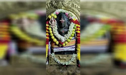 தா.பழூர் விஸ்வநாதர் கோவிலில் பைரவருக்கு சிறப்பு வழிபாடு