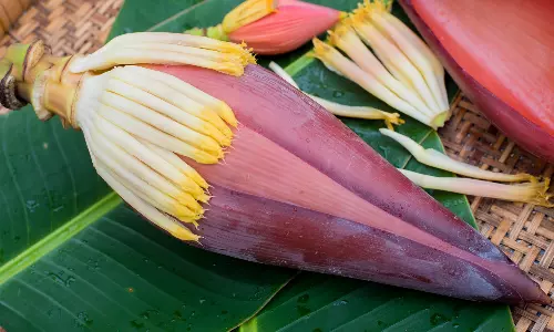 வாரம் இருமுறை வாழைப்பூ சாப்பிட்டால் இவ்வளவு நன்மைகளா?