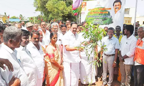 12,000 மரக்கன்றுகள் நடும் நிகழ்ச்சி