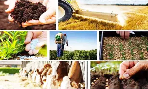 விவசாயிகளுக்கு மானிய விலையில் வேளாண் இடுபொருட்கள்