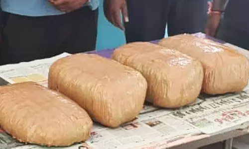 7 கிலோ கஞ்சா பறிமுதல்