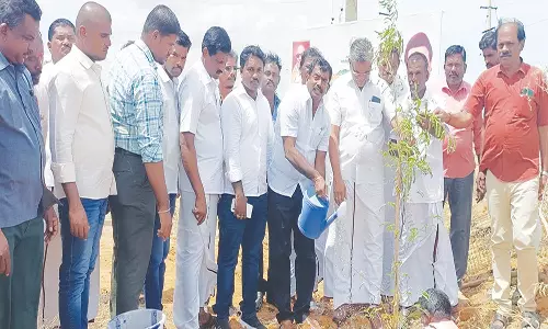 கோட்டை கருங்குளத்தில் நெடுஞ்சாலைத்துறை சார்பில் மரக்கன்றுகள் நடும் நிகழ்ச்சி