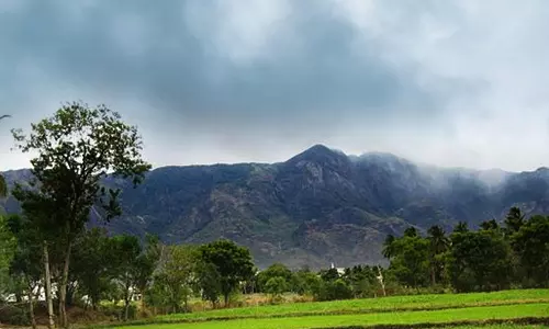 களக்காடு மலையில் பற்றி எரிந்த காட்டுத்தீ கட்டுக்குள் வந்தது