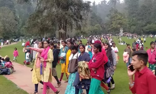 நீலகிரியில் இயக்கப்பட்ட சர்க்கியூட் பஸ்களில் 1½ லட்சம் பேர் பயணம்