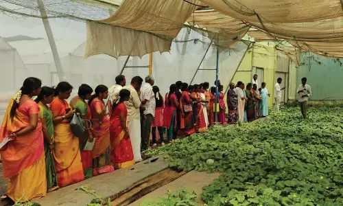 தோட்டக்கலை மற்றும் மலைப்பயிர்கள் துறை சார்பில் உயர் தொழில்நுட்ப நாற்றங்கால் அமைத்தல் பயிற்சி