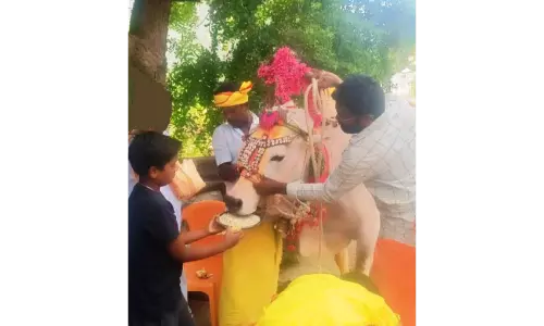 கோவில் விழாவிற்கு காளையுடன் சென்று வீடு வீடாக வரி வசூல்