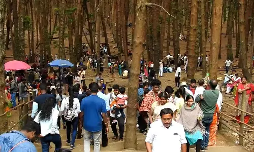 கோடை விடுமுறை இன்றுடன் நிறைவு- கொடைக்கானலில் சுற்றுலா பயணிகள் உற்சாகம்