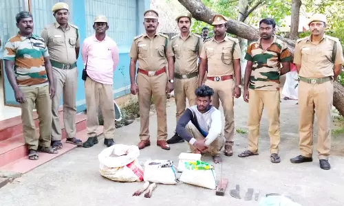 மான்களை வேட்டையாடி இறைச்சி விற்பனை- ஆயுதங்களுடன் வாலிபர் கைது