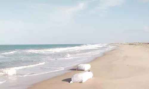 தனுஷ்கோடியில் இலங்கைக்கு கடத்த முயன்ற 270 கிலோ பீடி இலைகள் பறிமுதல்