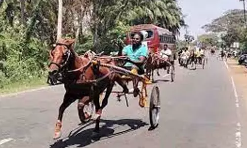 குளித்தலை அருகே மாடு, குதிரைகளுக்கான எல்கை பந்தயம்