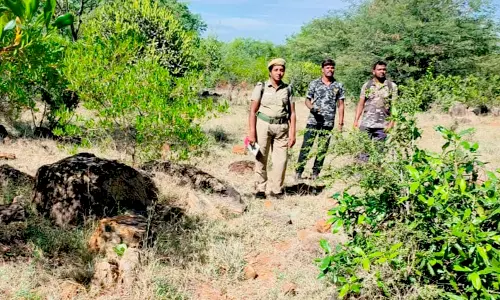 வன விலங்குகள் கணக்கெடுக்கும் பணி தொடங்கியது