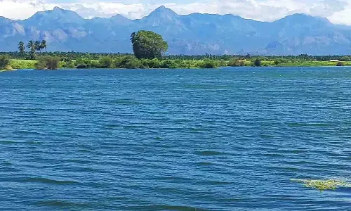 உடுமலை பகுதியில் சாகுபடிக்கு கைகொடுக்கும் 7 குளங்கள்