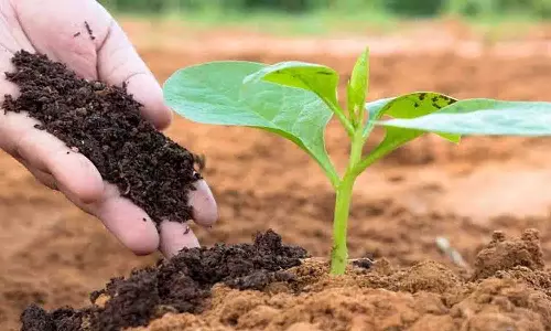 ஊராட்சிகளில் முடங்கி கிடக்கும் இயற்கை உரம் தயாரிப்பு திட்டம் மீண்டும் செயல்பாட்டுக்கு வருமா?