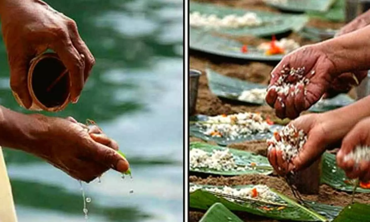சிரார்த்தம் வேறு தர்ப்பணம் வேறு சிரார்த்தம் வேறு தர்ப்பணம் வேறு