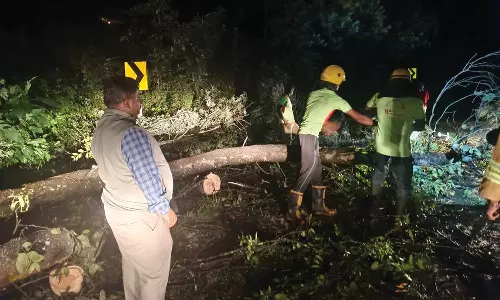 ஊட்டி, குன்னூரில் பலத்த மழை- மண்சரிவு, மரங்கள் முறிந்து விழுந்ததால் போக்குவரத்து பாதிப்பு
