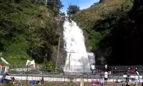 கொடைக்கானலில் பலத்த காற்றுடன் கொட்டித்தீர்த்த மழை