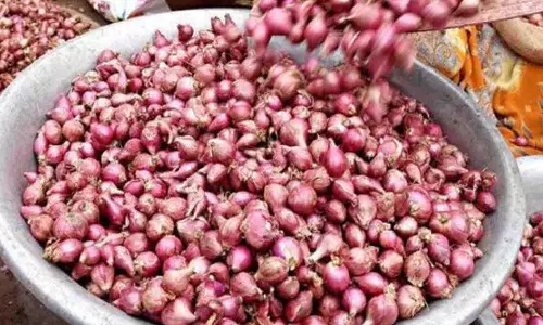 காங்கயம் வாரச்சந்தையில் சின்ன வெங்காயம் கிலோ ரூ.50க்கு விற்பனை