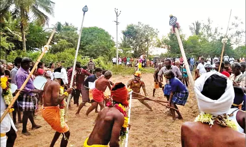 சாணார்பட்டி அருகே கோவில் திருவிழாவையொட்டி பாரிவேட்டை