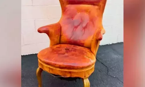 4 ஆயிரத்திற்கு வாங்கிய நாற்காலியை 82 லட்சத்திற்கு விற்ற டிக்டாக் பிரபலம்